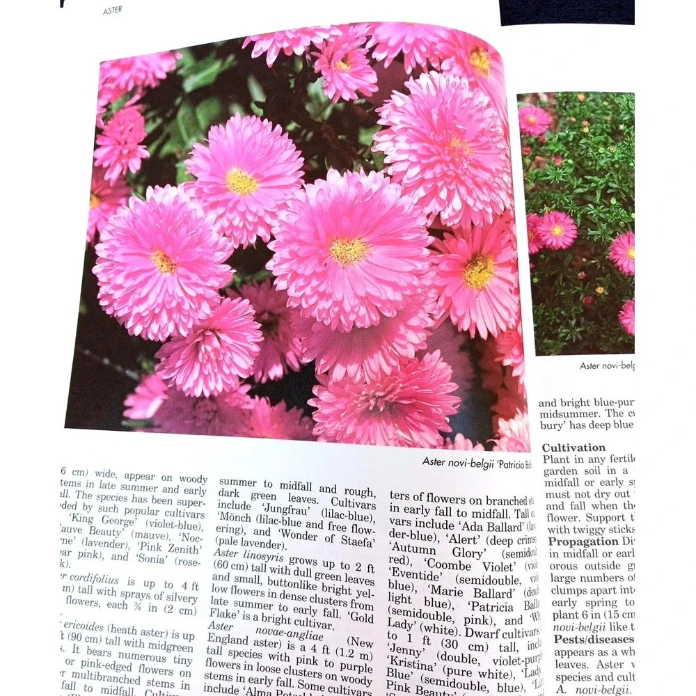 A–Z of Perennials – Reader's Digest Successful Gardening Series 1990, Hardcover‎